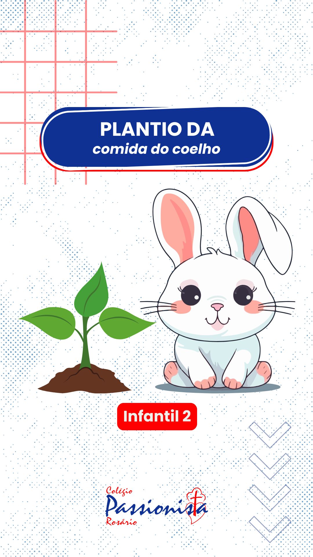 Cultivando a Alimentao do Coelho - Educao Infantil 2 Nossa Senhora do Rosrio