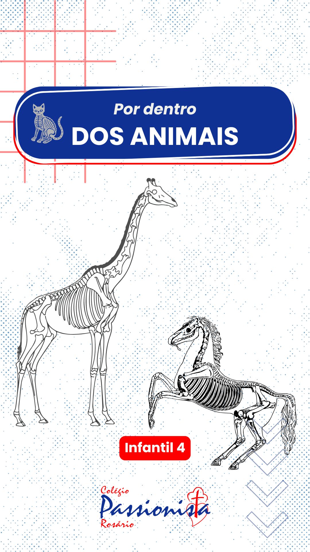 Explorando os Segredos do Corpo dos Animais - Infantil 4 Nossa Senhora do Rosrio