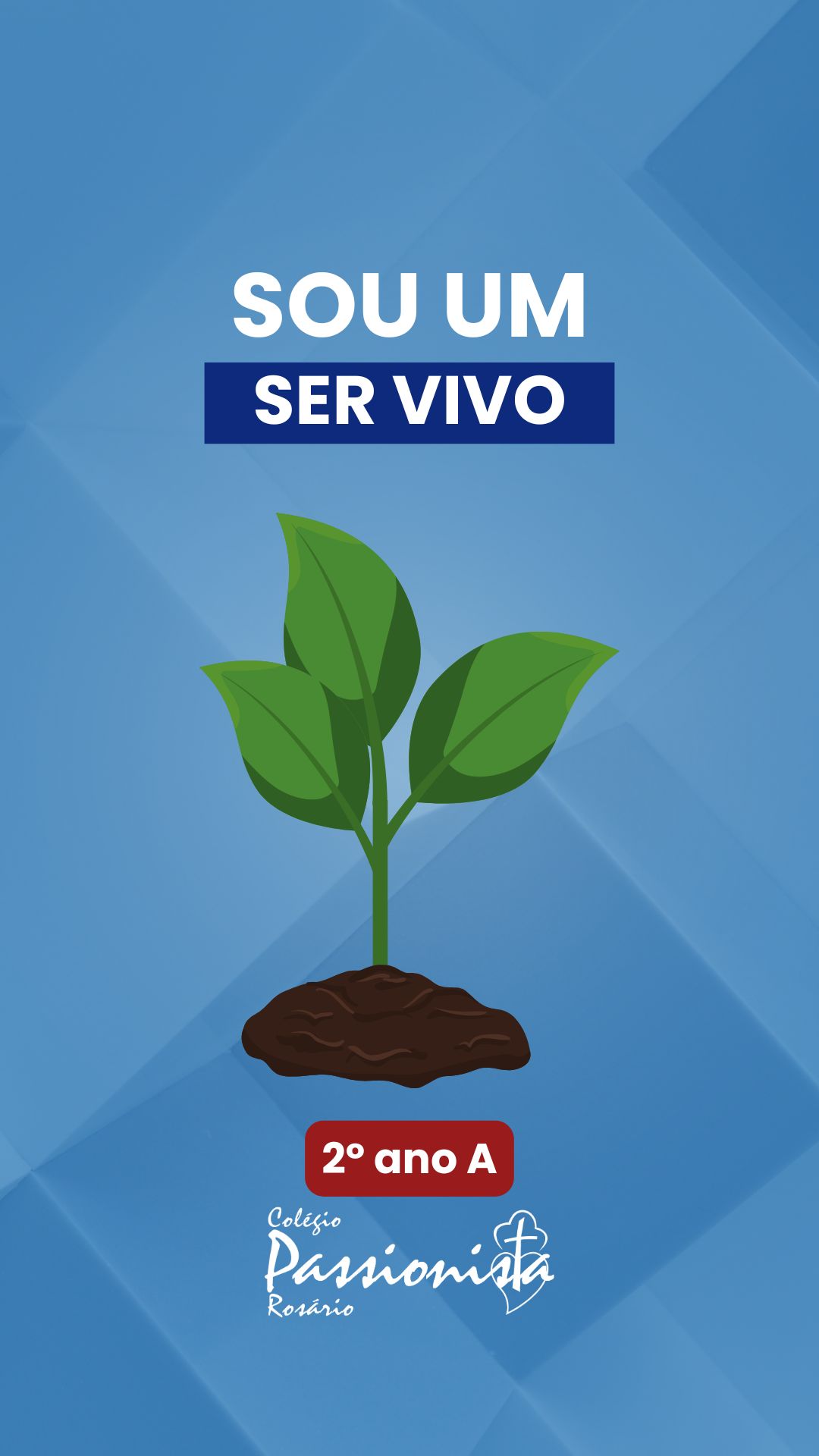 Eu sou um ser vivo - 2 ano A Nossa Senhora do Rosrio