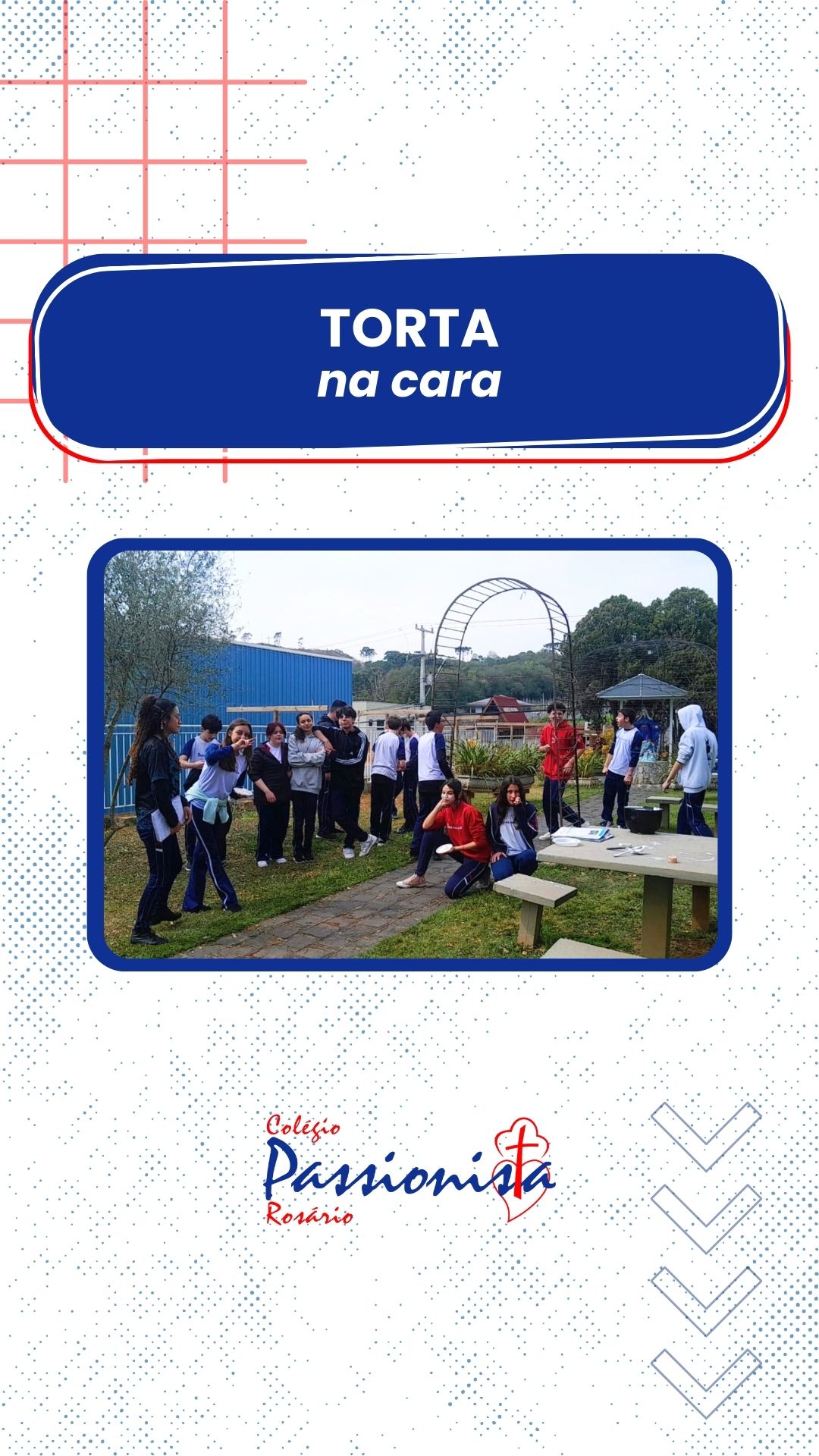 Torta na Cara 9 ano C Nossa Senhora do Rosrio