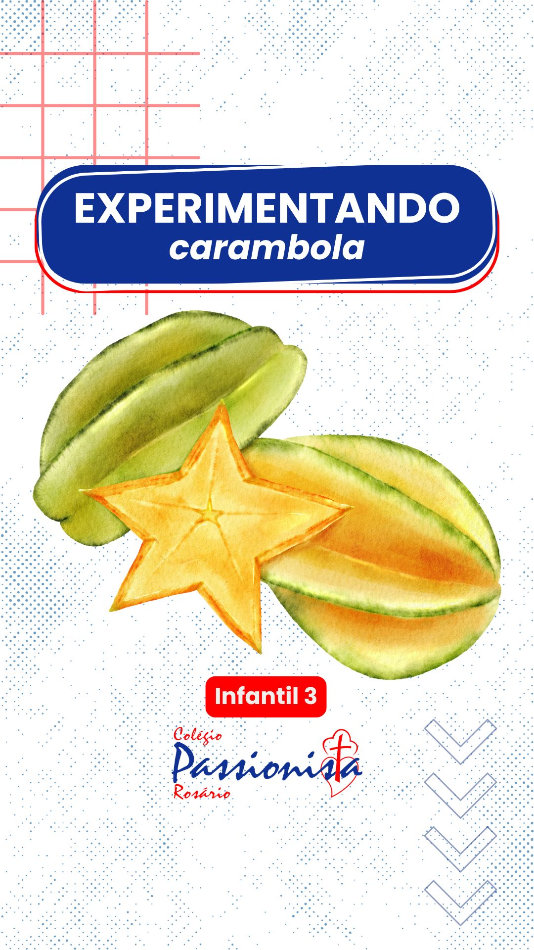 Diferentes sabores - Infantil 3 Nossa Senhora do Rosrio