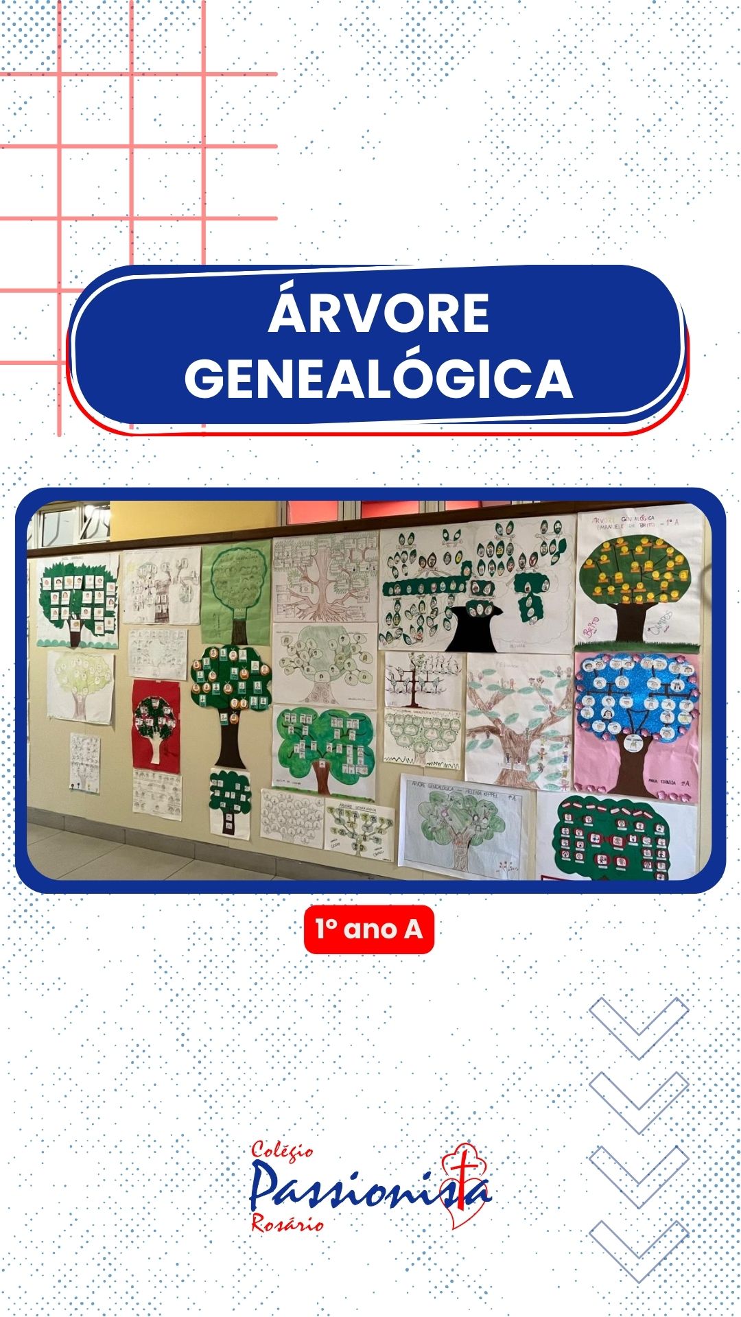rvore Genealgica - 1 ano A Nossa Senhora do Rosrio