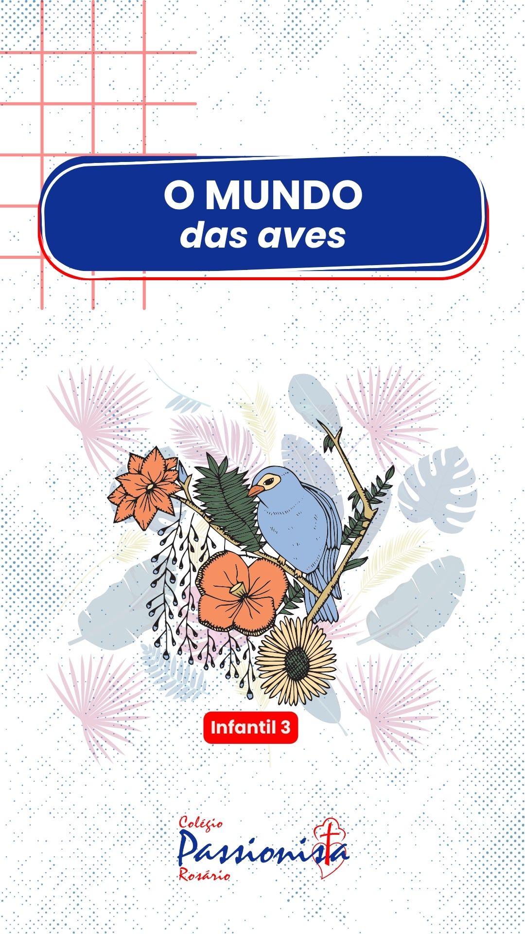 Descobrindo o Mundo das Aves - Infantil 3 Nossa Senhora do Rosrio