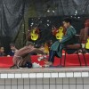  - Nossa Senhora do Rosrio