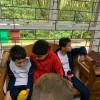  - Nossa Senhora do Rosrio