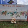  - Nossa Senhora do Rosrio