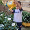  - Nossa Senhora do Rosrio