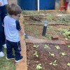  - Nossa Senhora do Rosrio