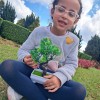  - Nossa Senhora do Rosrio