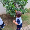  - Nossa Senhora do Rosrio